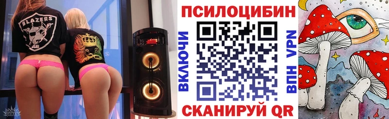 Галлюциногенные грибы Psilocybe  сколько стоит  Ленинск-Кузнецкий 