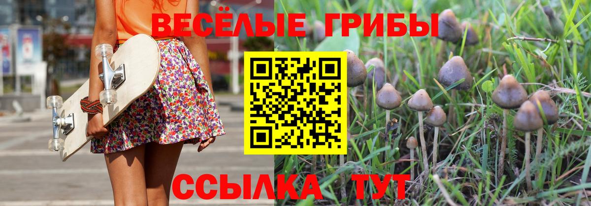 Псилоцибиновые грибы GOLDEN TEACHER  Галлюциногенные грибы Cubensis  Ленинск-Кузнецкий  Вход с VPN 
