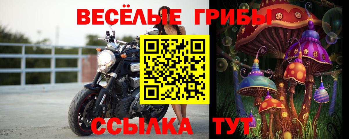 Галлюциногенные грибы Cubensis Ленинск-Кузнецкий